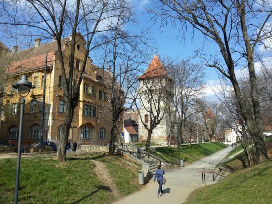 Turnul Olarilor din Sibiu